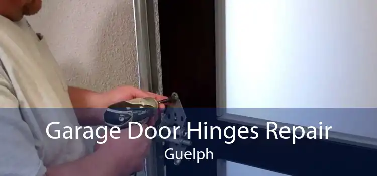 Garage Door Hinges Repair Guelph