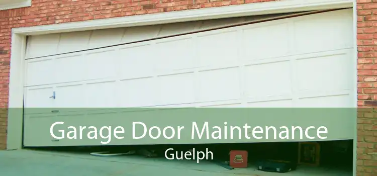 Garage Door Maintenance Guelph