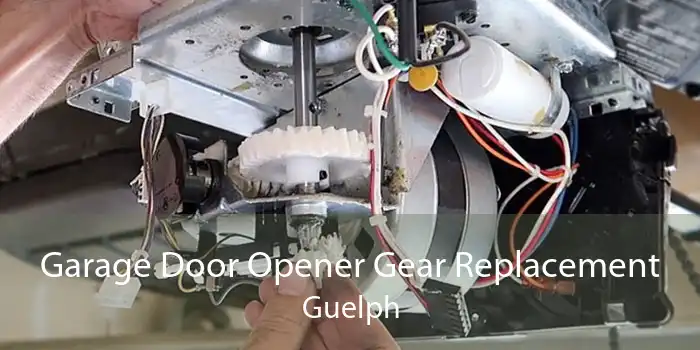 Garage Door Opener Gear Replacement Guelph