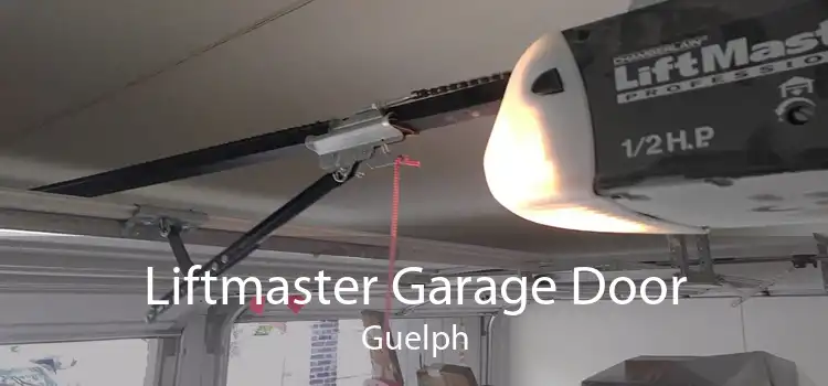 Liftmaster Garage Door Guelph